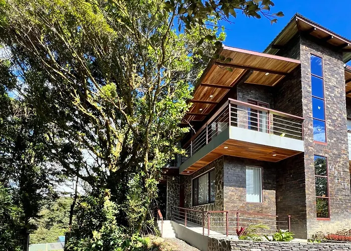 Cougar Monteverde